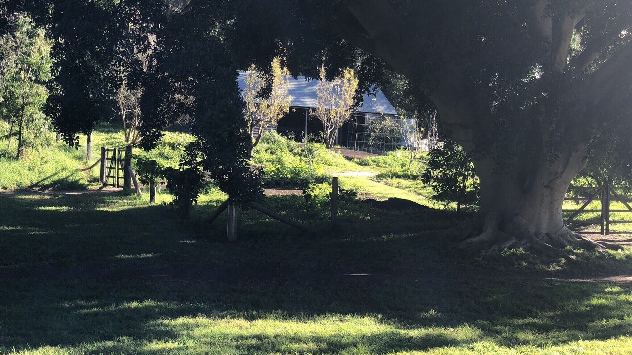 Photo of Outdoor in Vaucluse