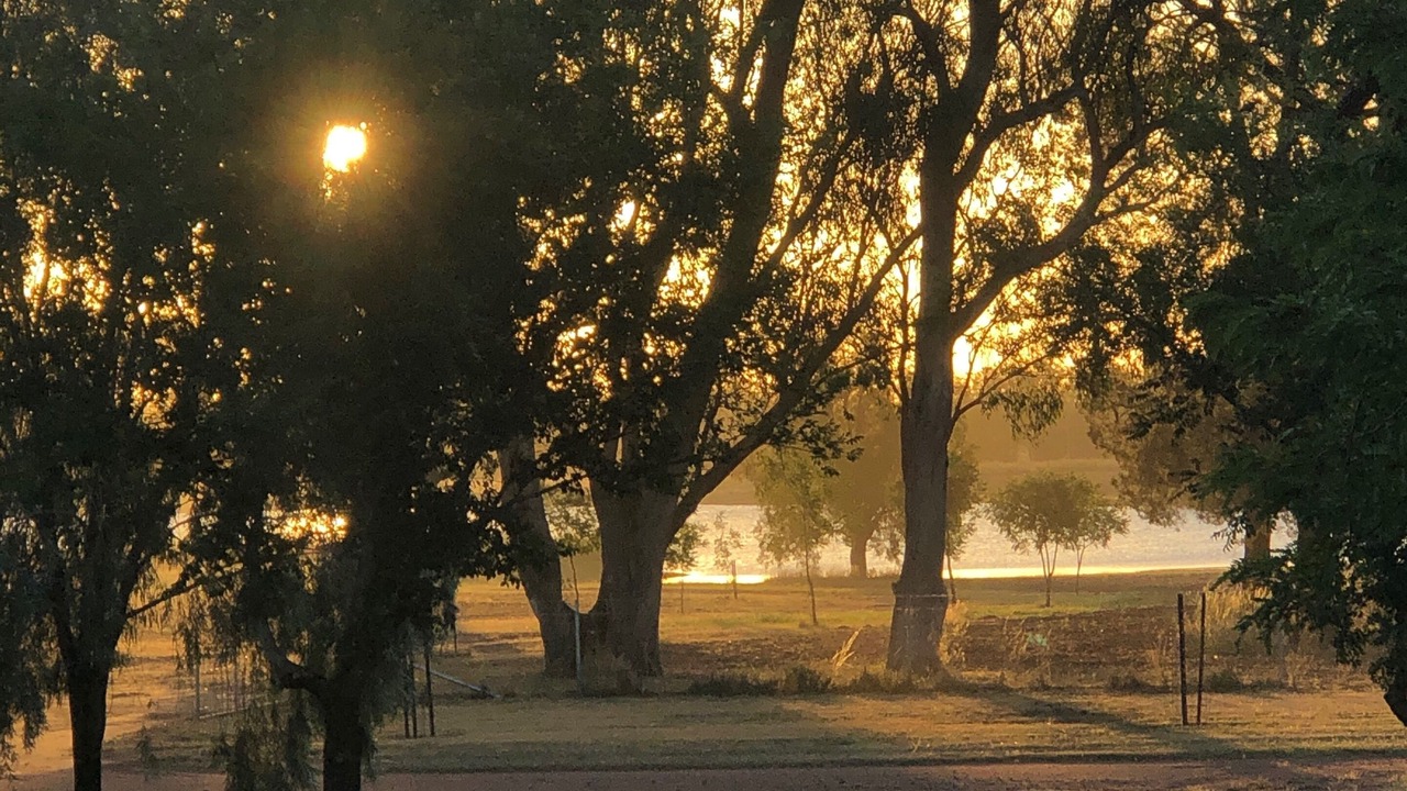 Photo of Outdoor in Dubbo