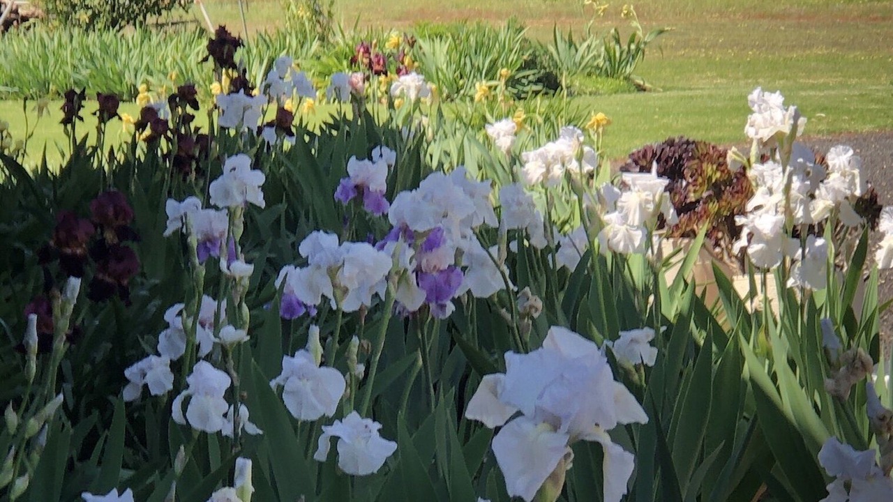 Photo of Outdoor in Dubbo