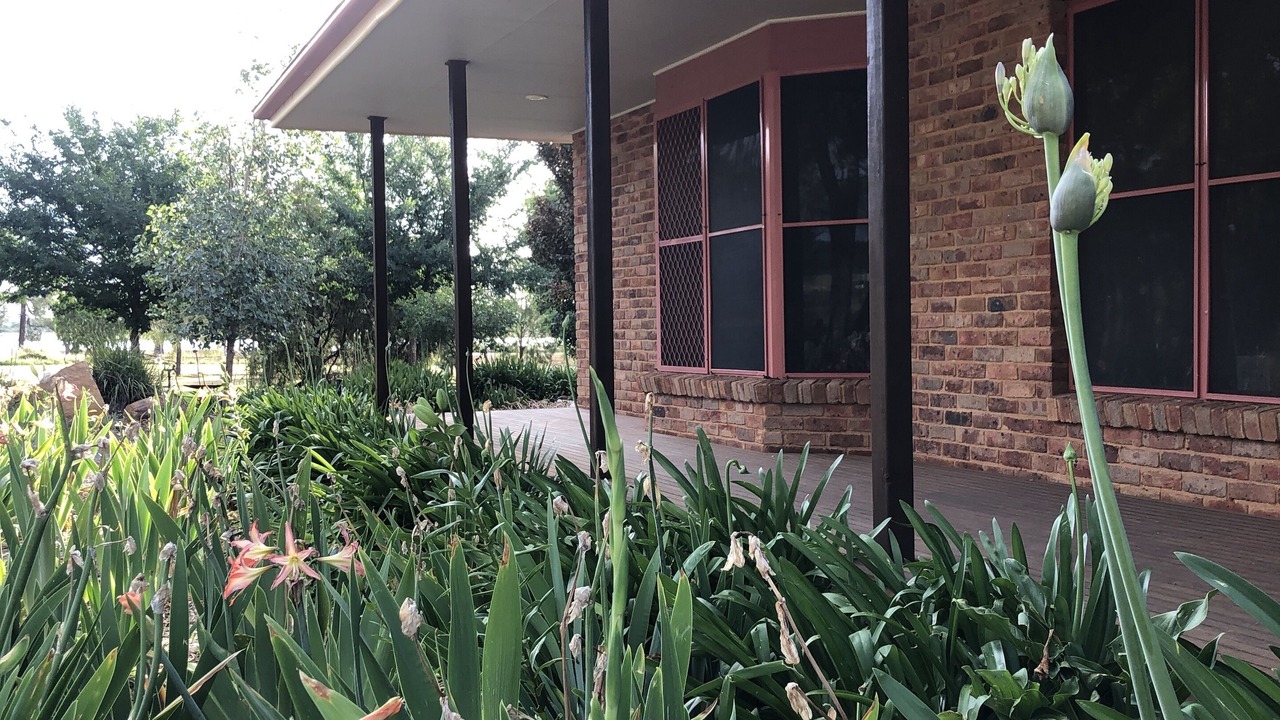 Photo of Outdoor in Dubbo