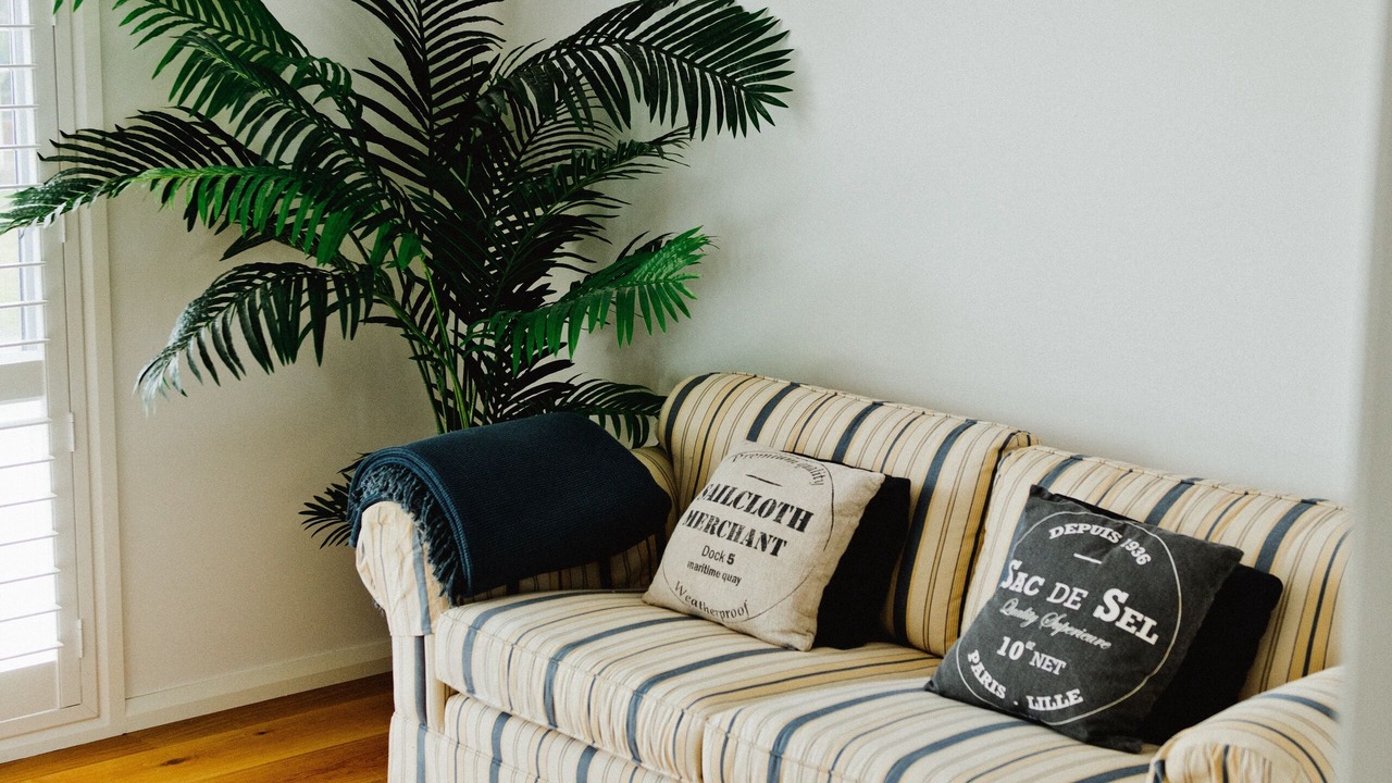 Photo of Livingroom in Newhaven