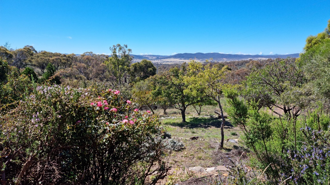 Photo of Others in Berridale