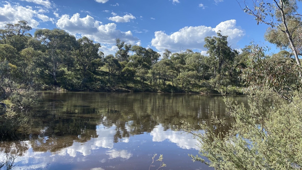 Photo of Others in Berridale