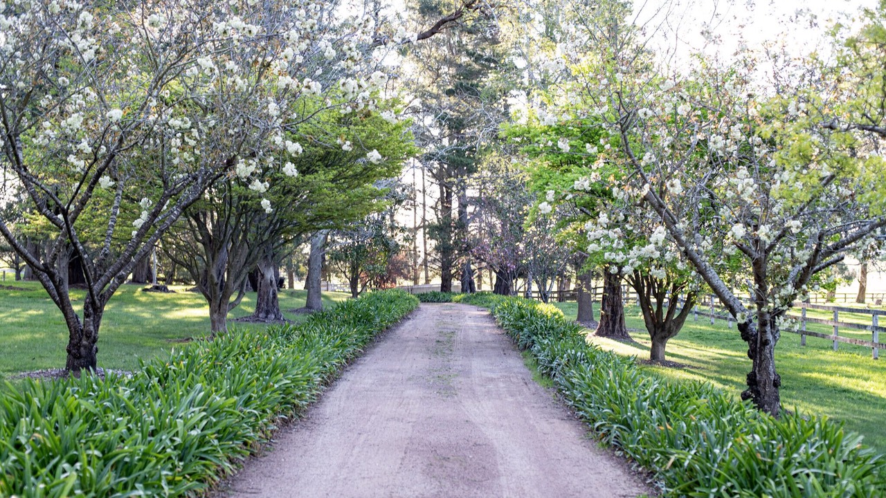 Photo of Others in Moss Vale