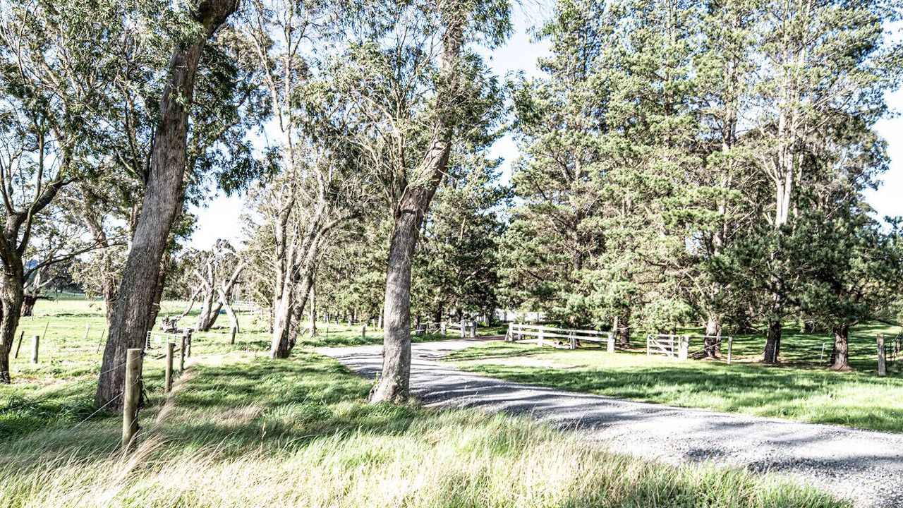 Photo of Others in Moss Vale