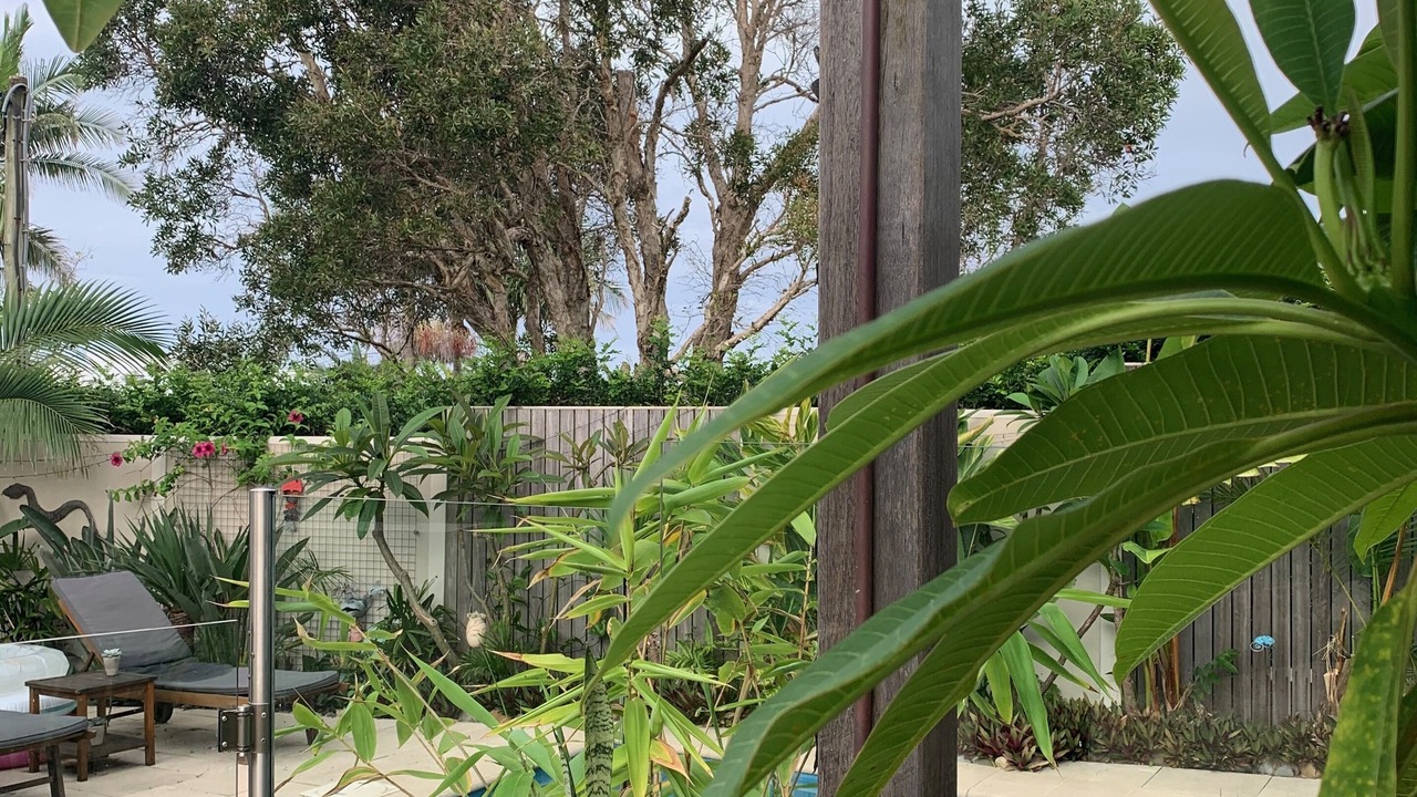 Photo of Outdoor in Emerald Beach