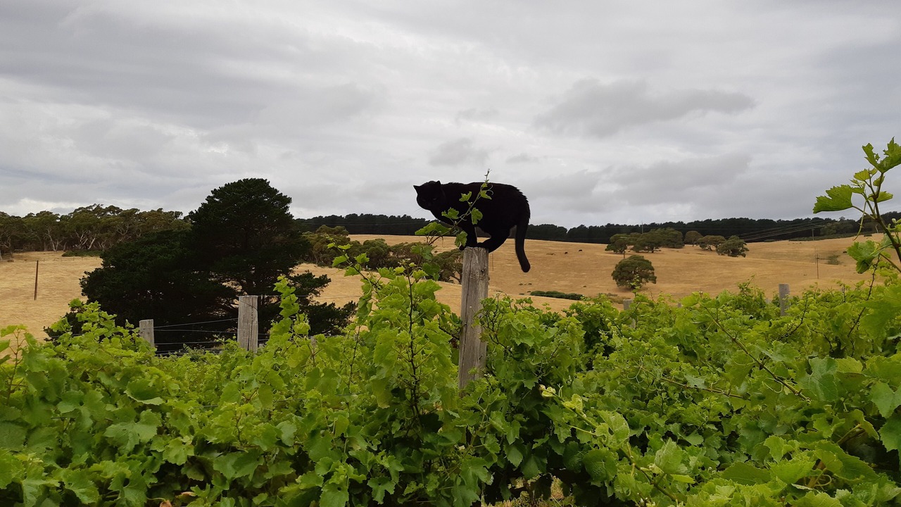 Photo of Outdoor in Delamere