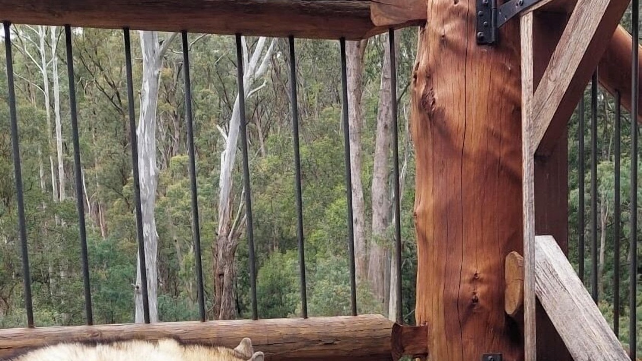 Photo of Others in Sawmill Settlement
