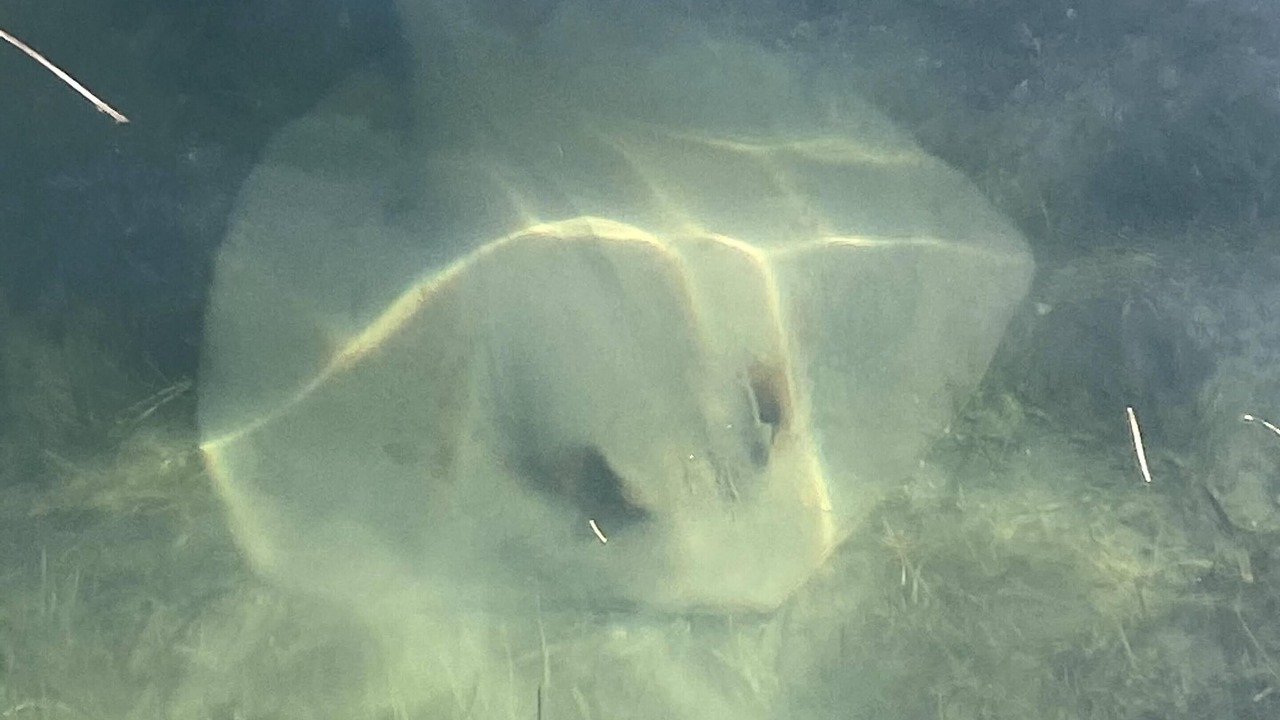 Photo of Others in Coal Point