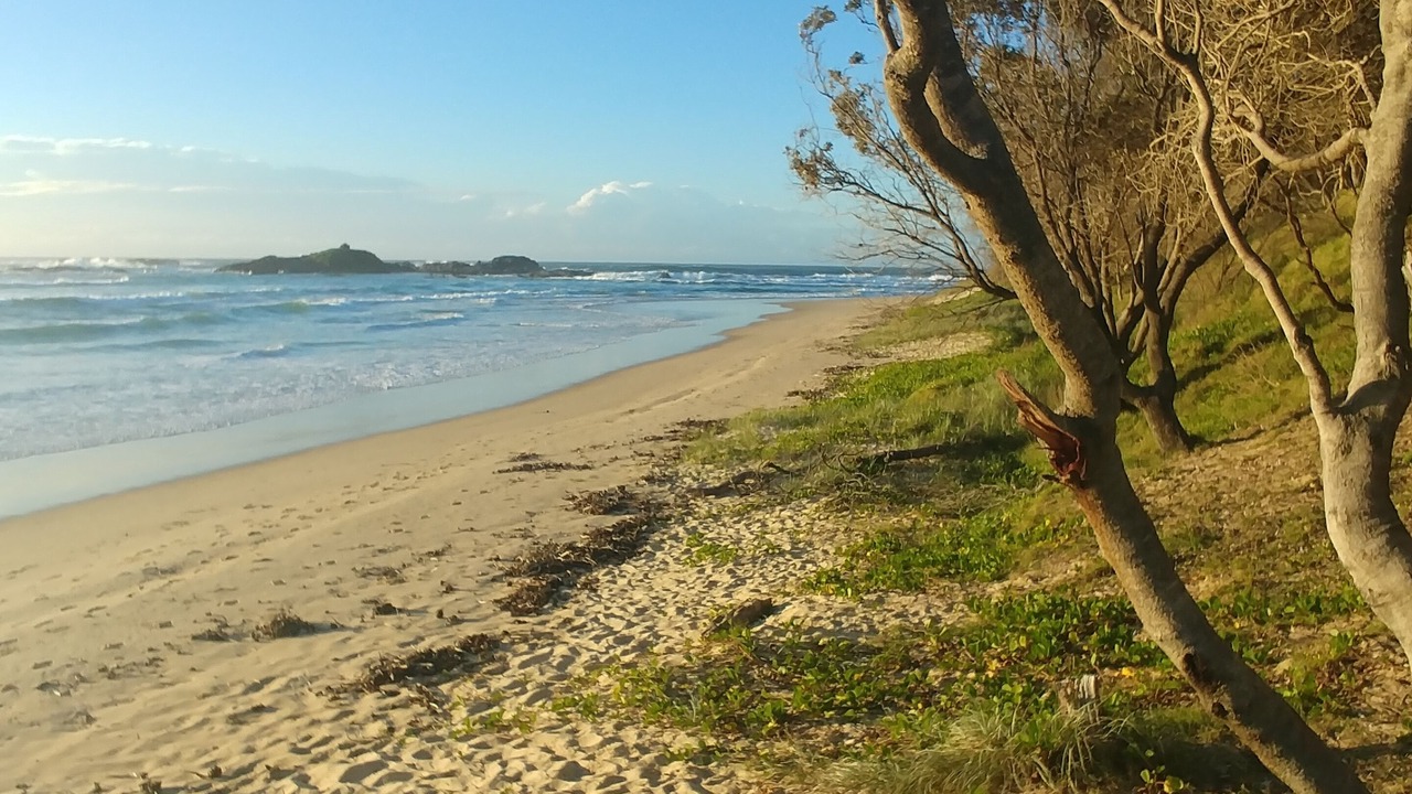 Photo of Others in Sawtell