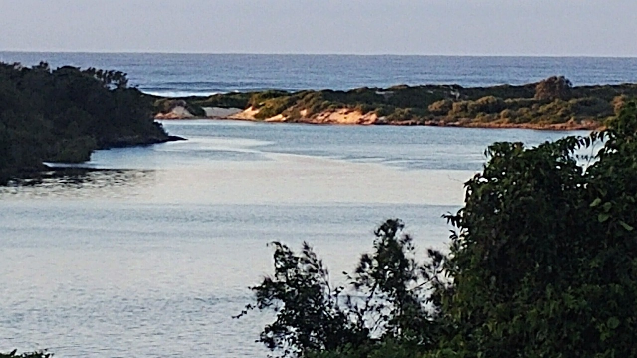Photo of Others in Sawtell