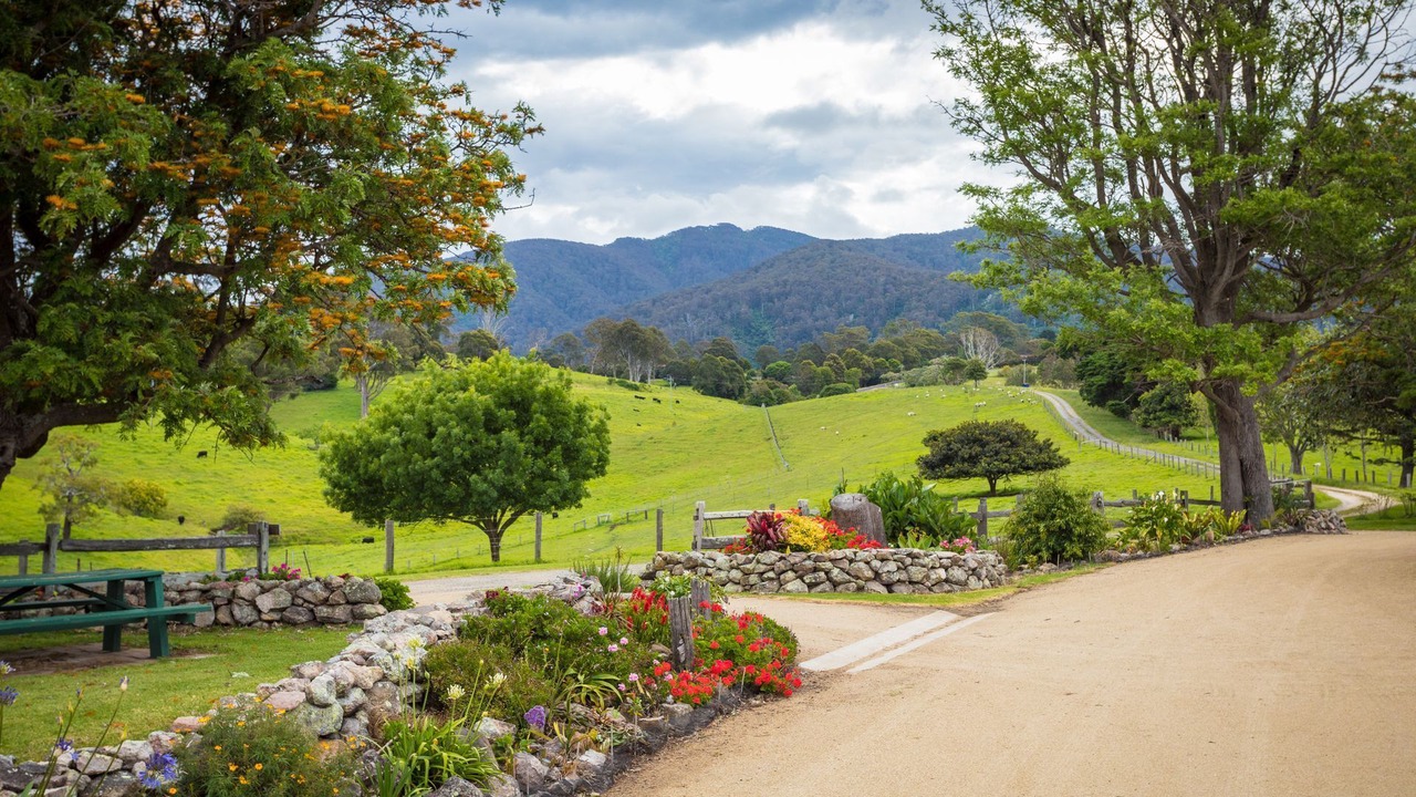 Photo of Outdoor in Central Tilba