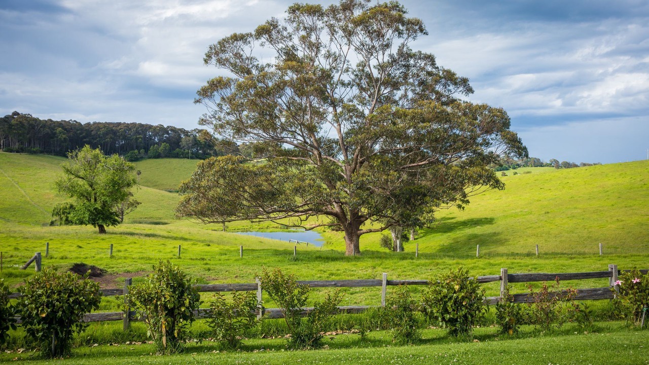 Photo of Outdoor in Central Tilba