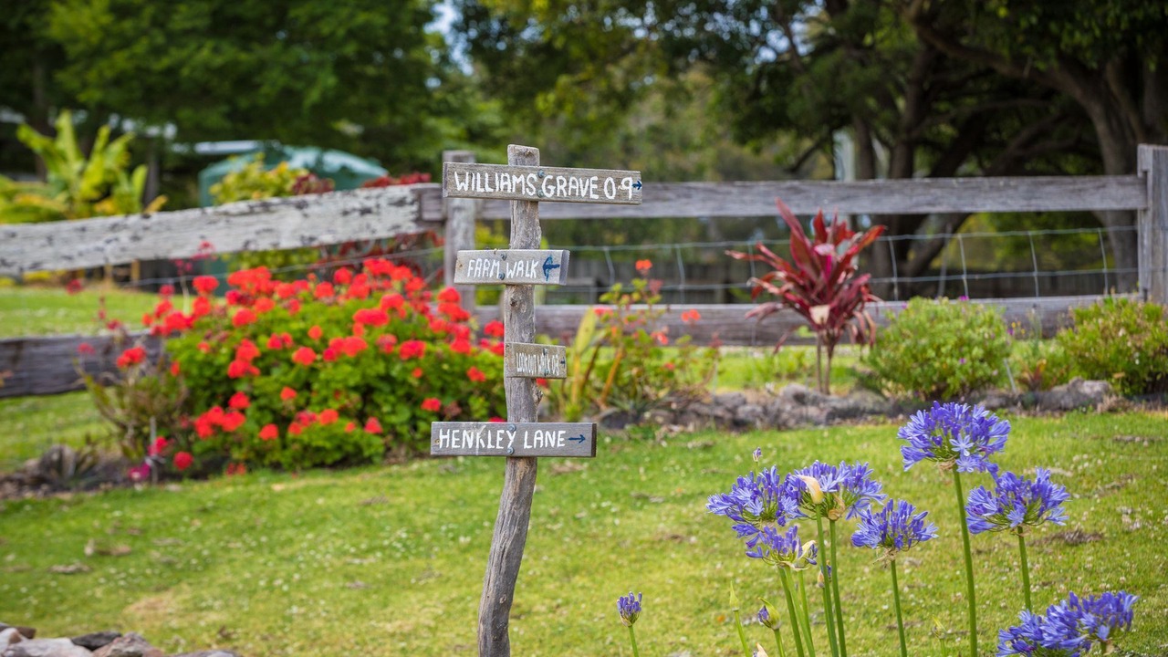 Photo of Outdoor in Central Tilba