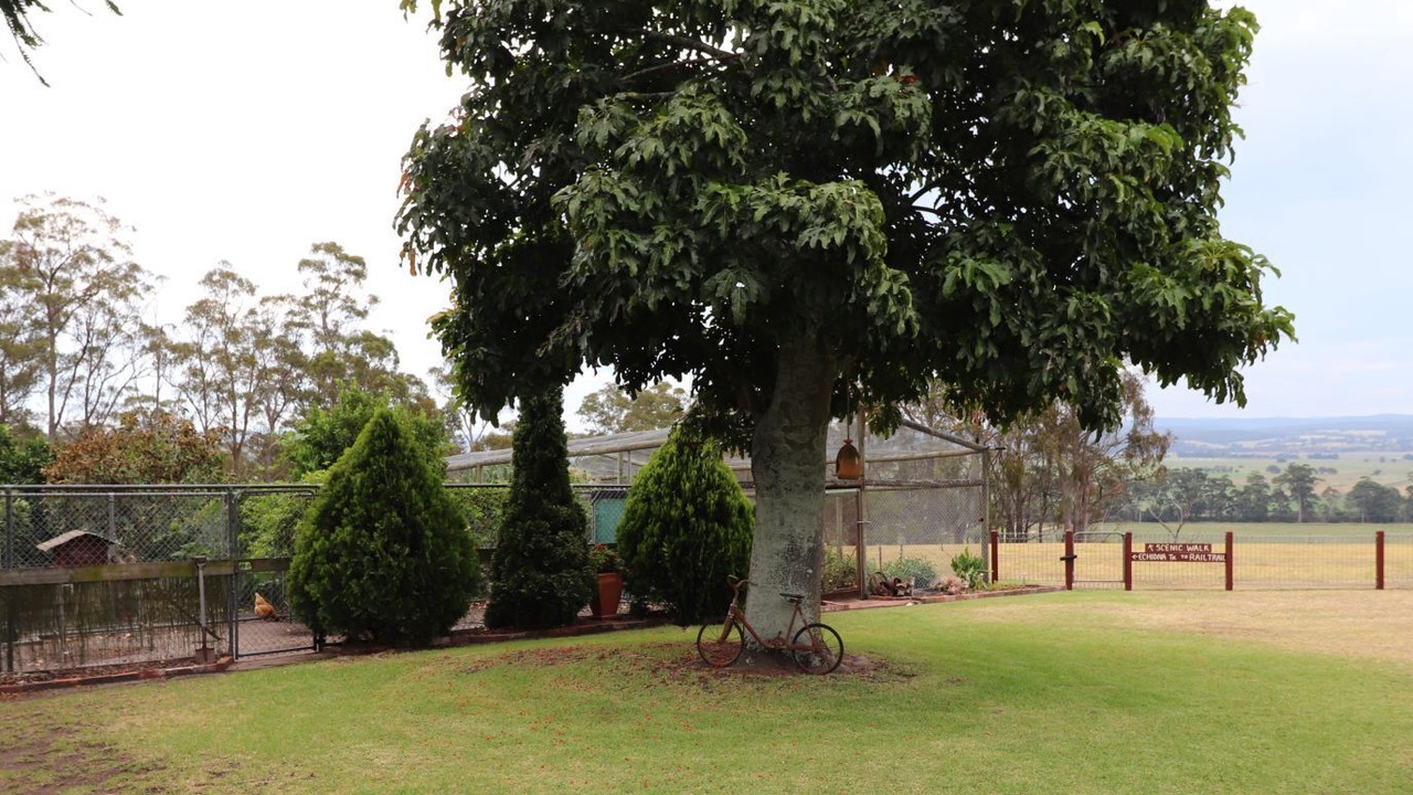 Photo of Outdoor in Newmerella