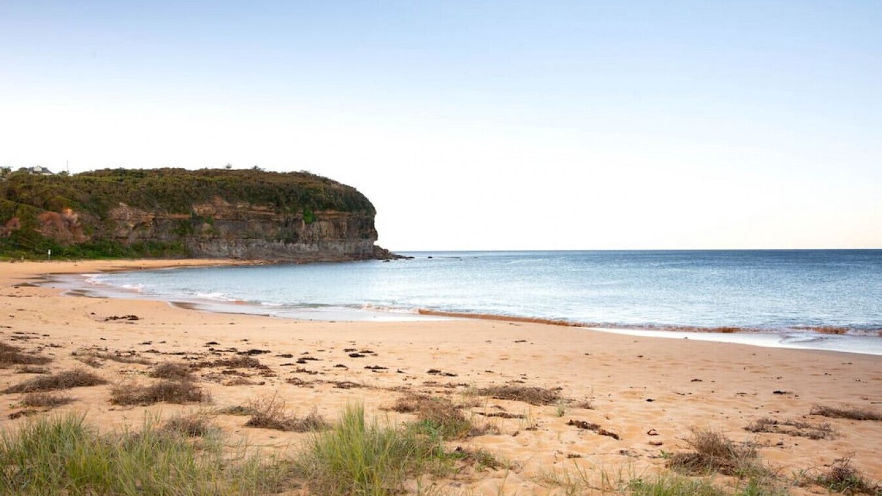 Photo of Others in Mona Vale