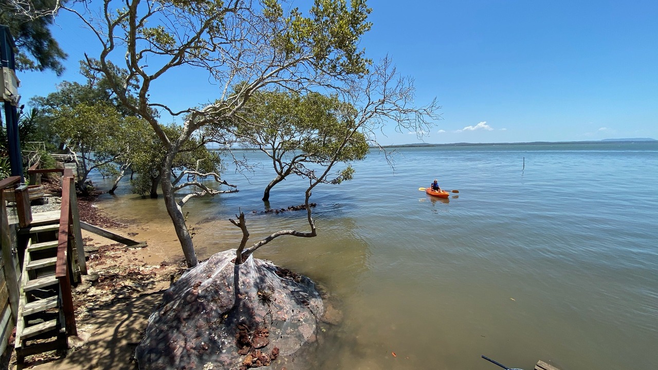 Photo of Others in Brisbane Waterfront