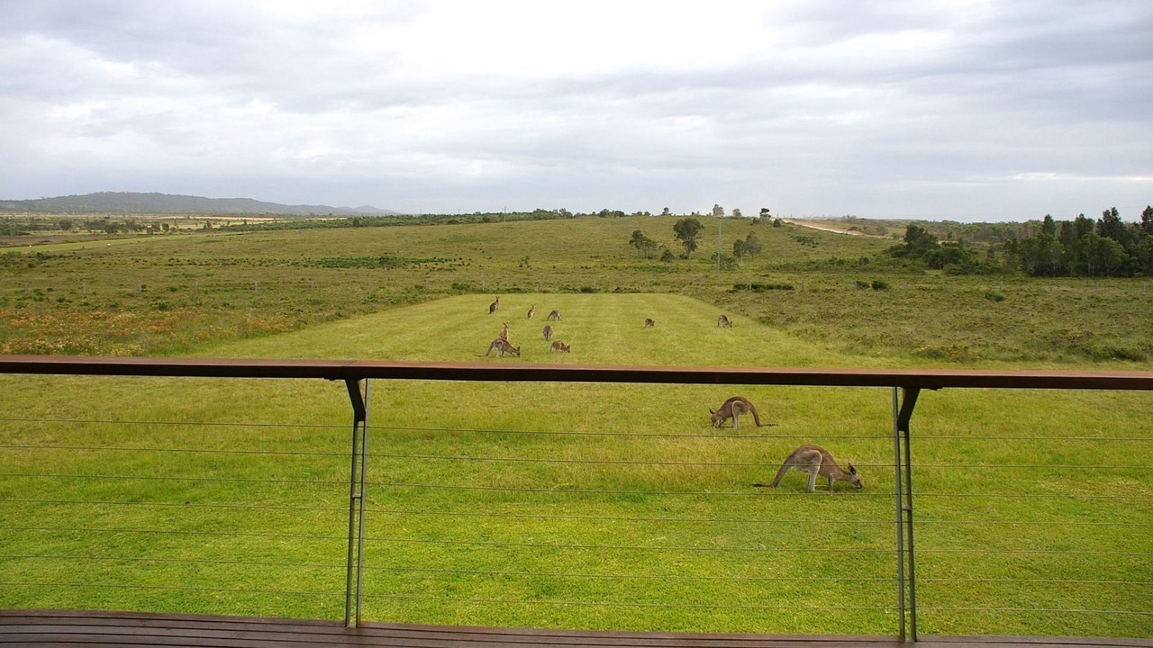 Photo of Outdoor in The Sandon
