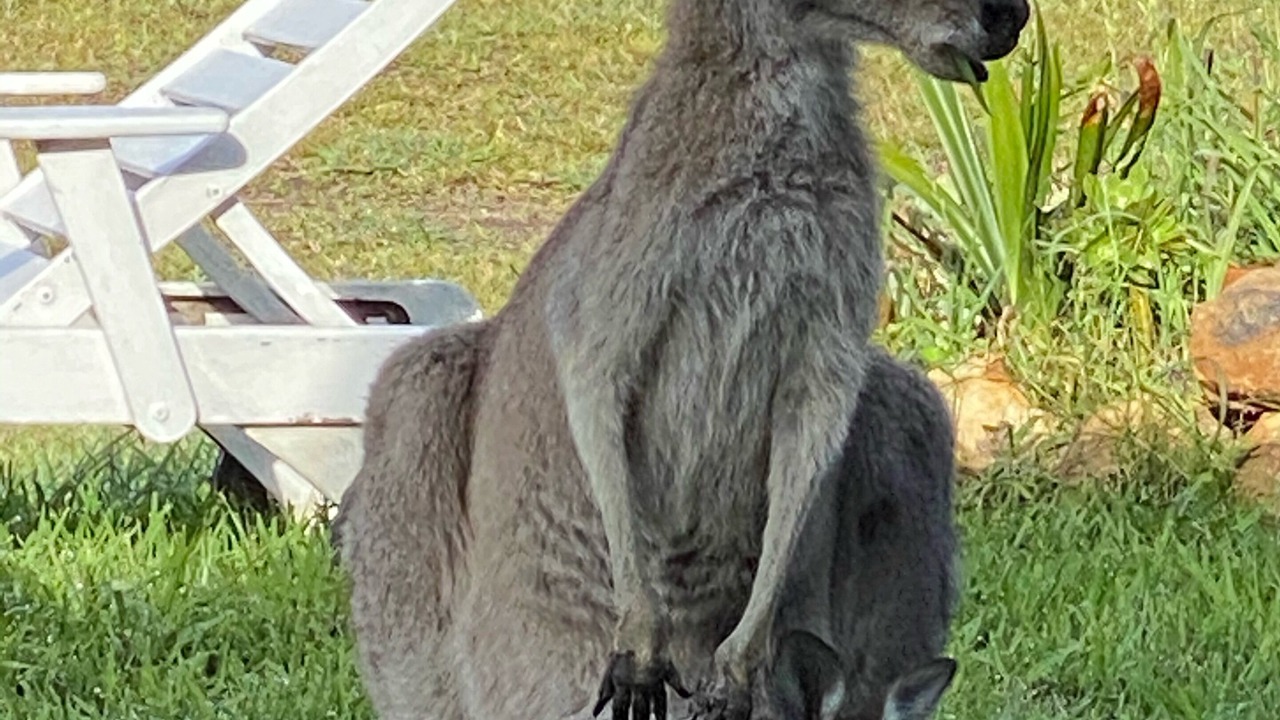 Photo of Outdoor in Coolongolook