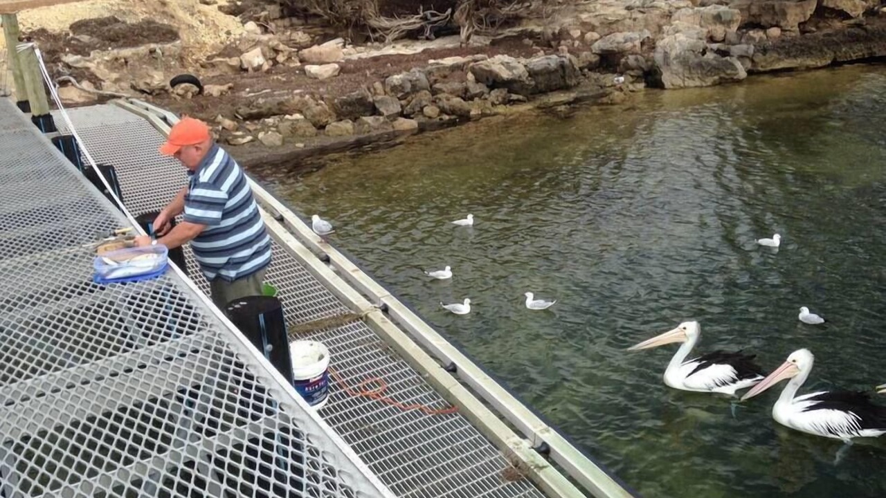 Photo of Others in Lake Wangary