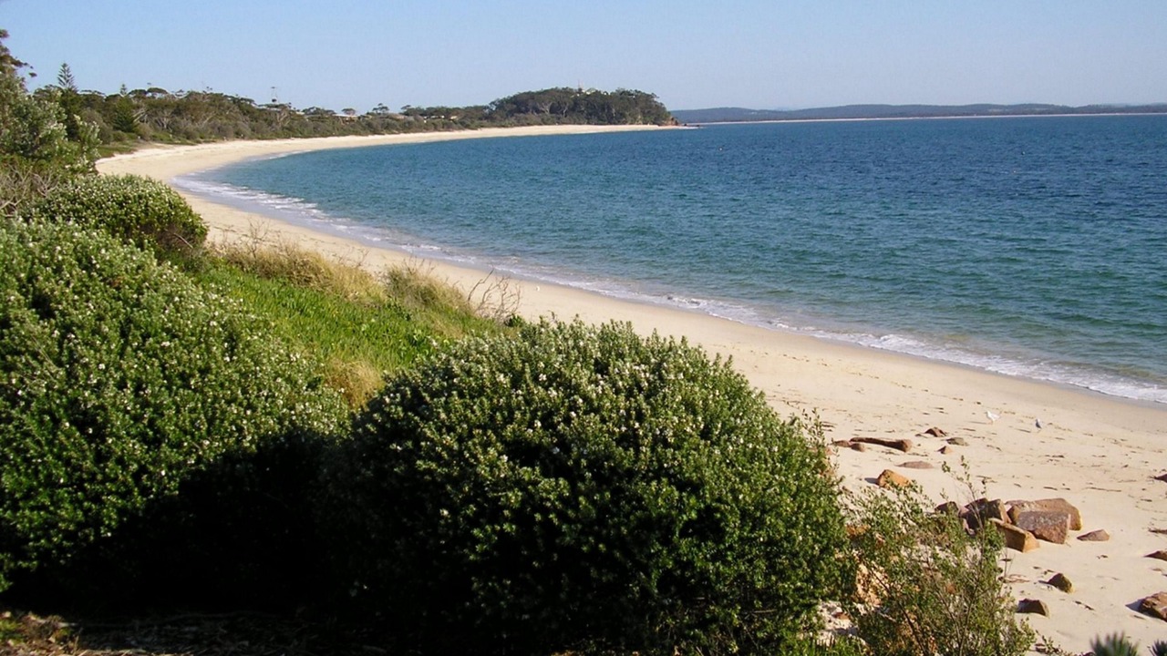 Photo of Others in Shoal Bay