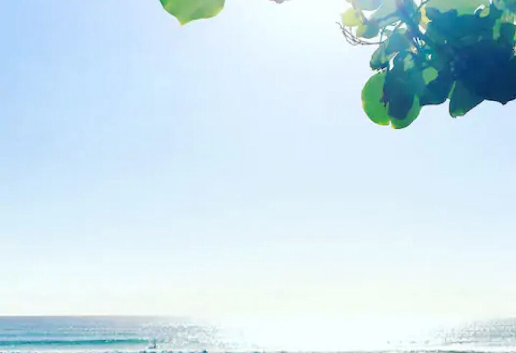 Photo of Others in Palm Beach