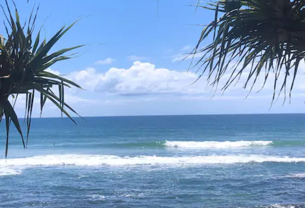 Photo of Others in Palm Beach