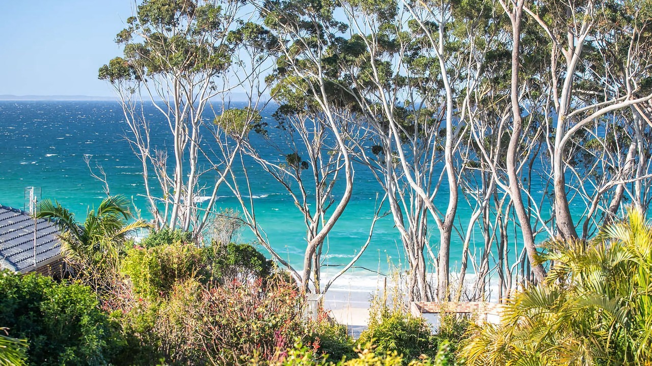 Photo of Others in Narrawallee