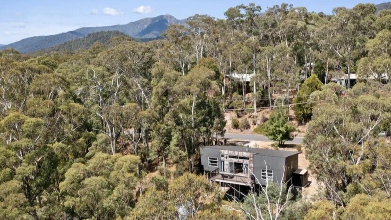 Photo of Outdoor in Sawmill Settlement