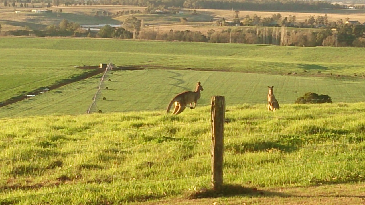 Photo of Others in Leconfield