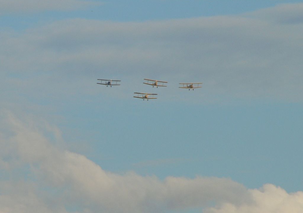 Photo of Others in Leconfield