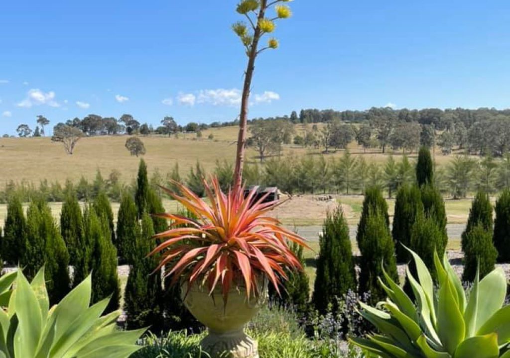 Photo of Outdoor in Leconfield