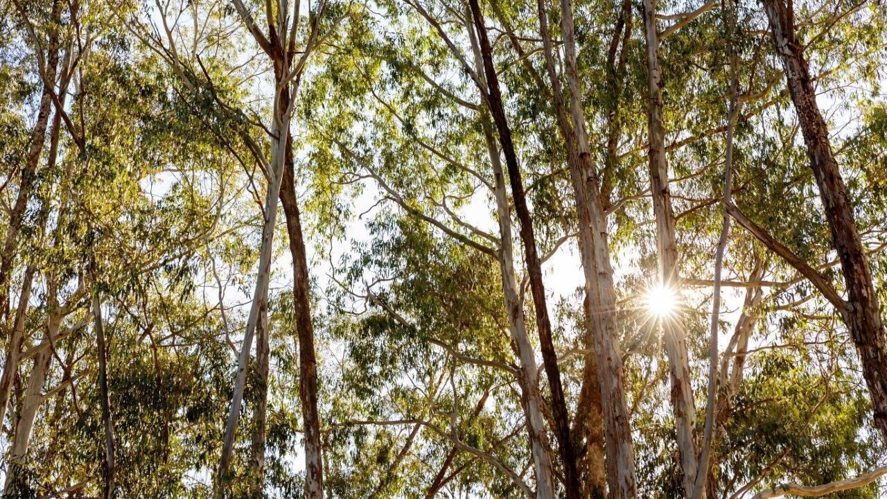 Photo of Outdoor in Bright