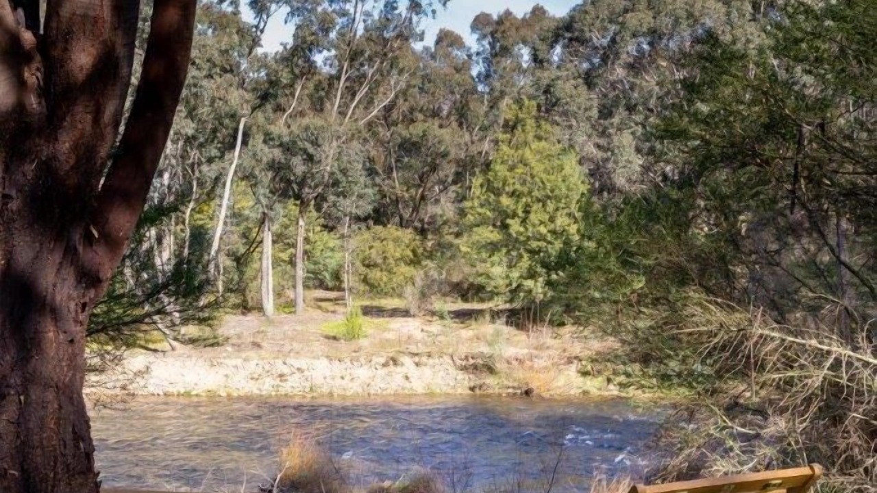 Photo of Outdoor in Bright