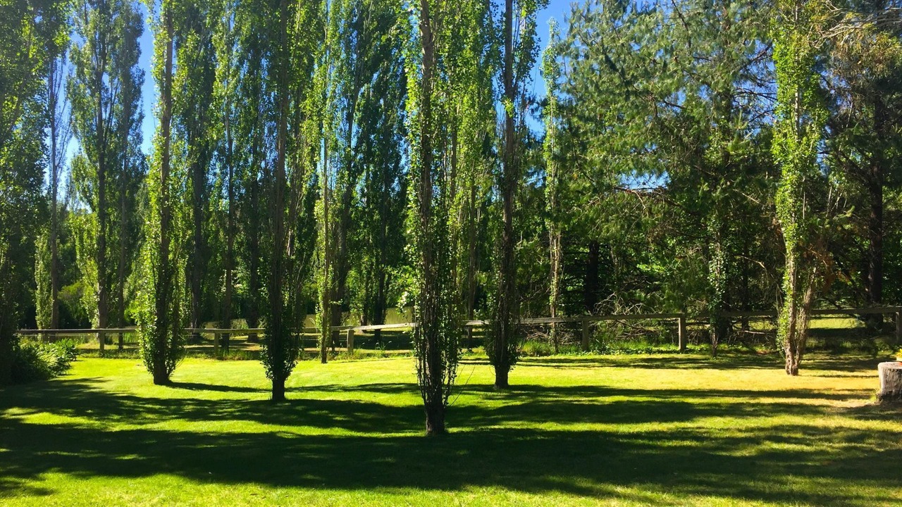 Photo of Outdoor in Berrima