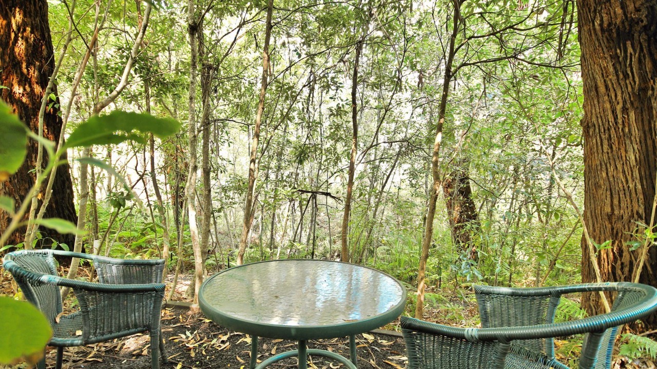 Photo of Outdoor in Hyams Beach