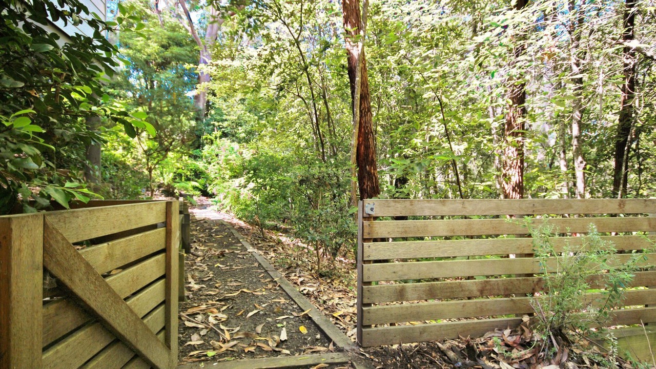 Photo of Outdoor in Hyams Beach