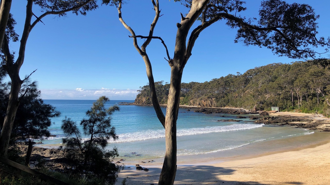 Photo of Others in Malua Bay