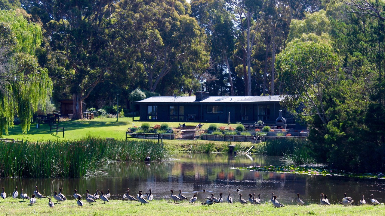 Photo of Outdoor in Merricks North