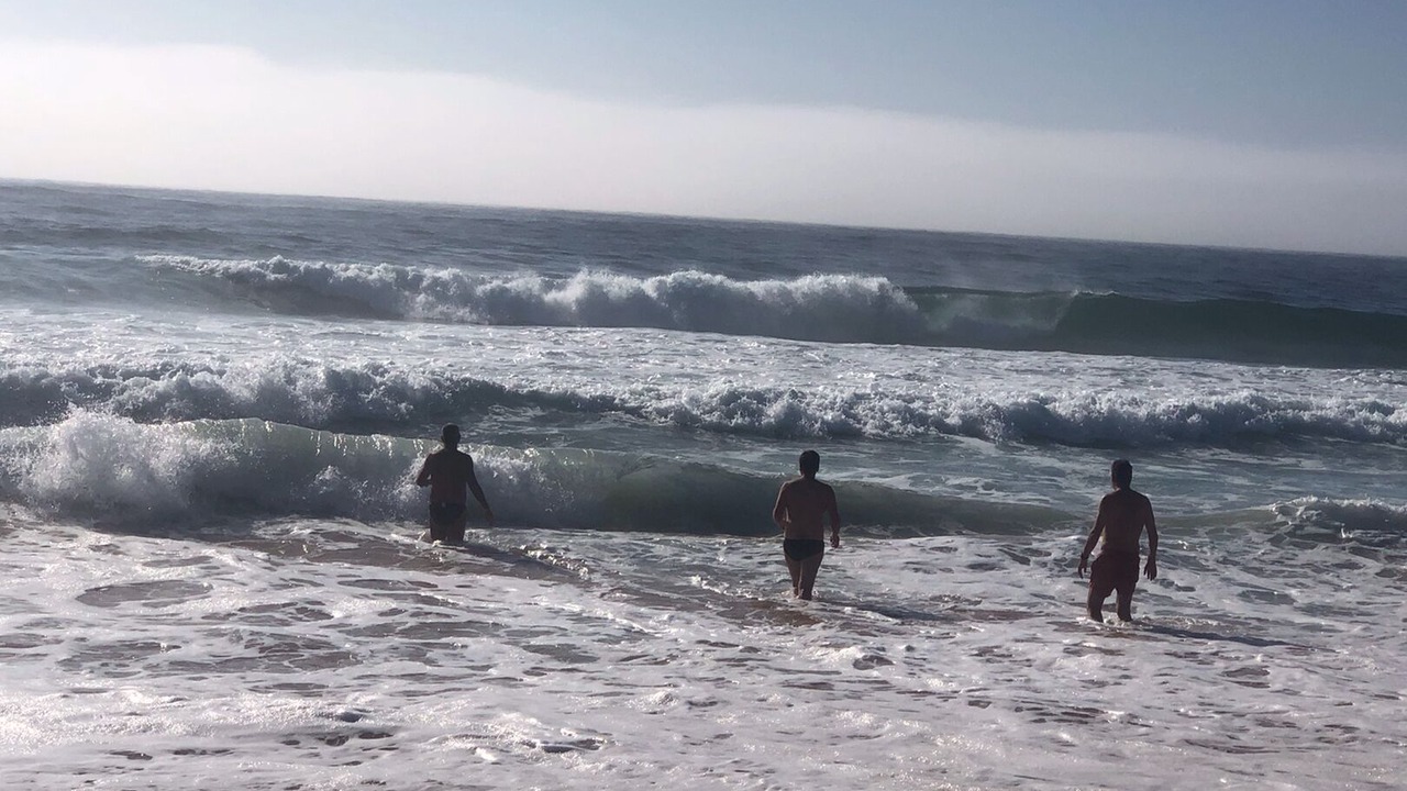 Photo of Others in Mona Vale