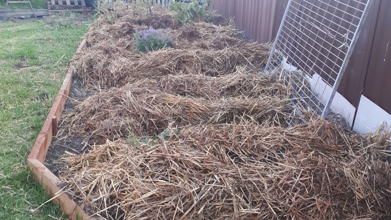 Photo of Outdoor in Port Kembla