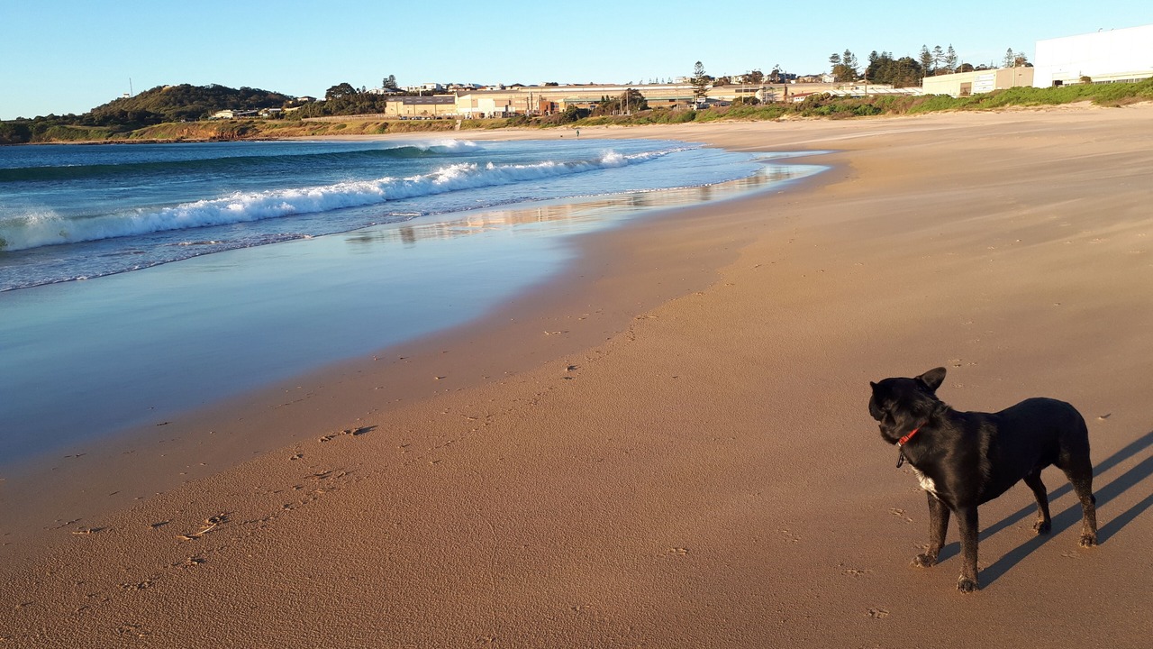 Photo of Others in Port Kembla