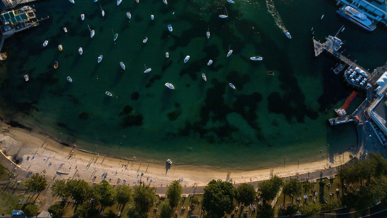Photo of Others in Manly
