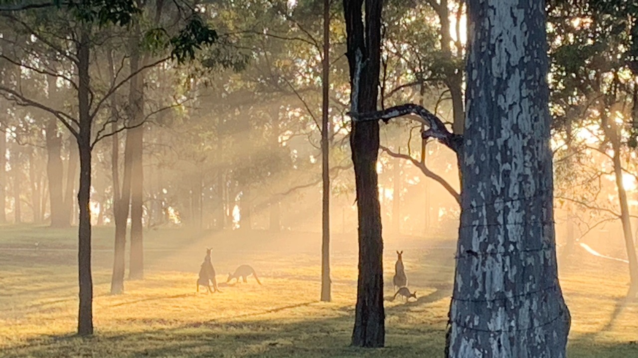Photo of Others in Lower Belford