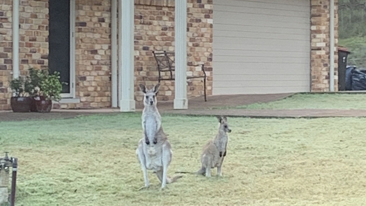 Photo of Outdoor in Lower Belford