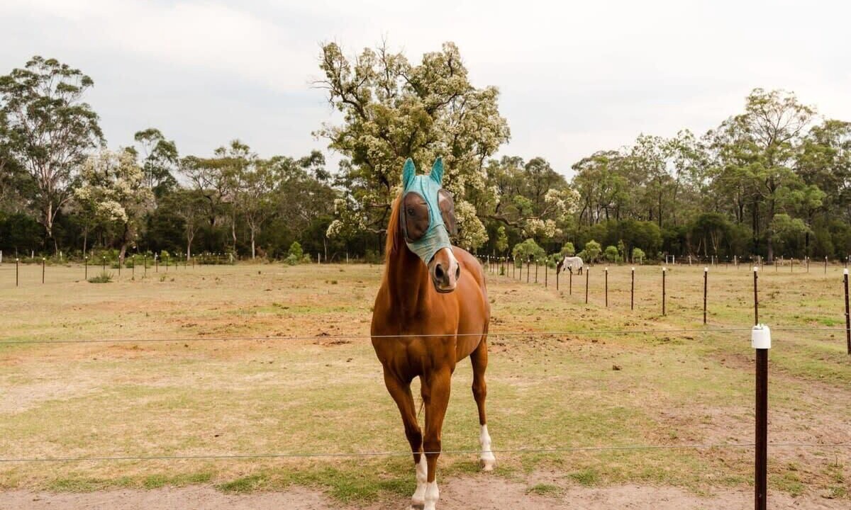 Photo of Others in Cessnock