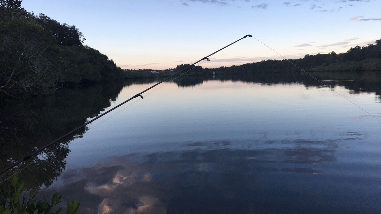 Photo of Others in Yamba