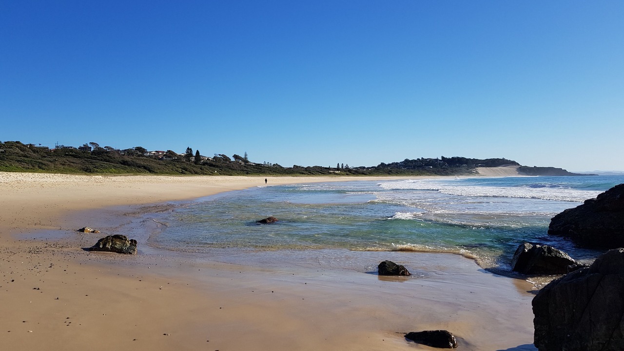 Photo of Others in Forster
