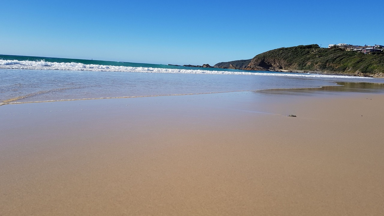 Photo of Others in Forster