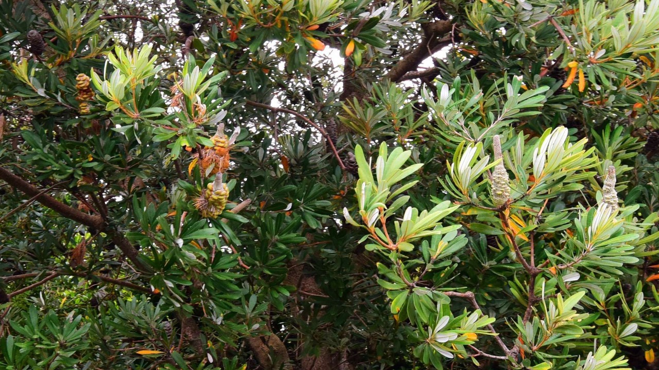 Photo of Outdoor in Currarong